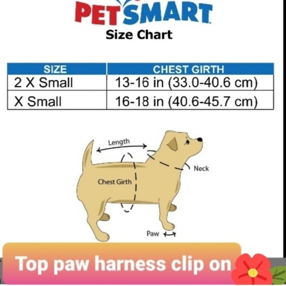 SOLD - Picture 6 of 7